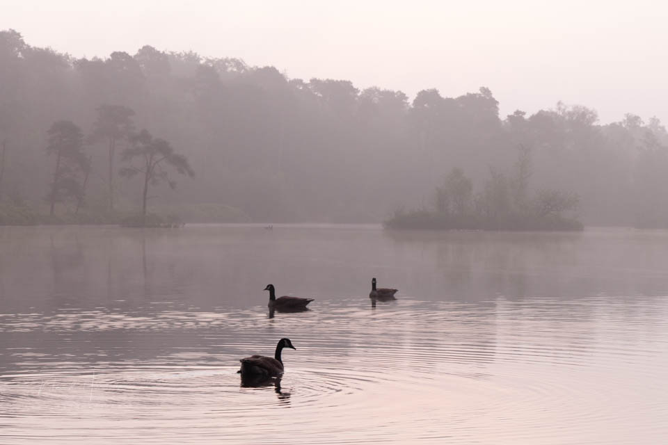 Nando high key 01 onbewerkt