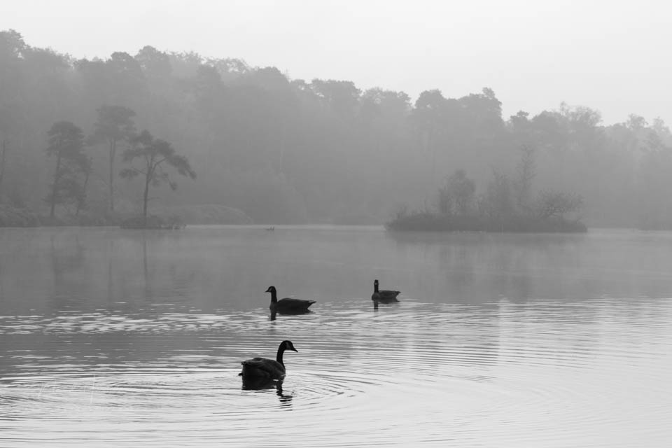 Nando high key 02 zwart wit