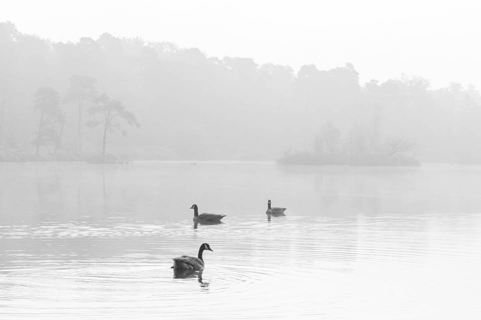 Nando high key 03 bewerking