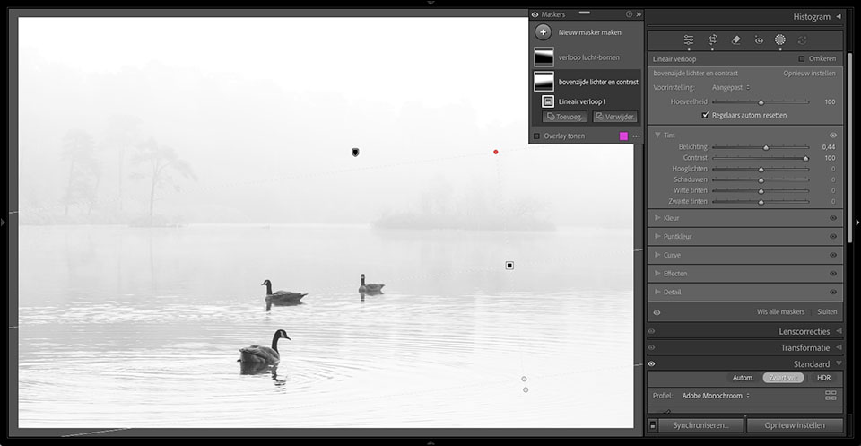 Nando high key 04 LrC maskers