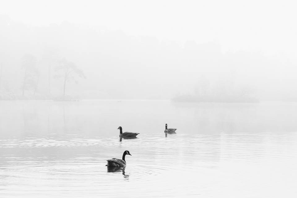 Nando high key 05 eindresultaat