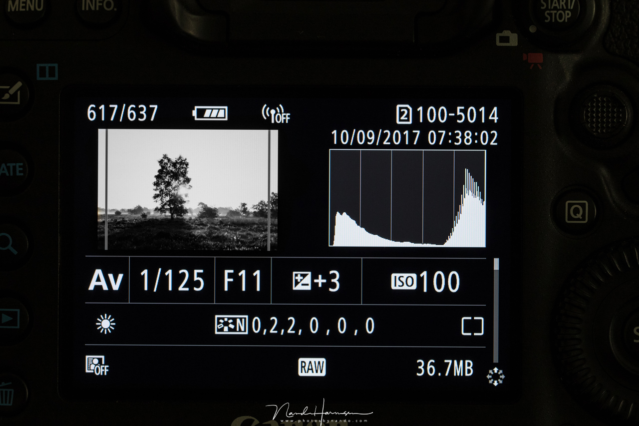 Nando histogram camera contrast