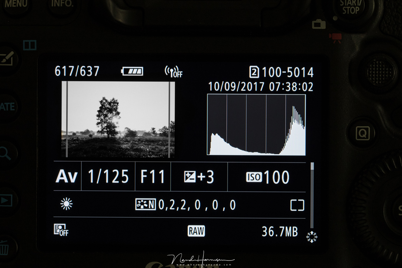 Nando histogram camera contrast Nando histogram camera contrast