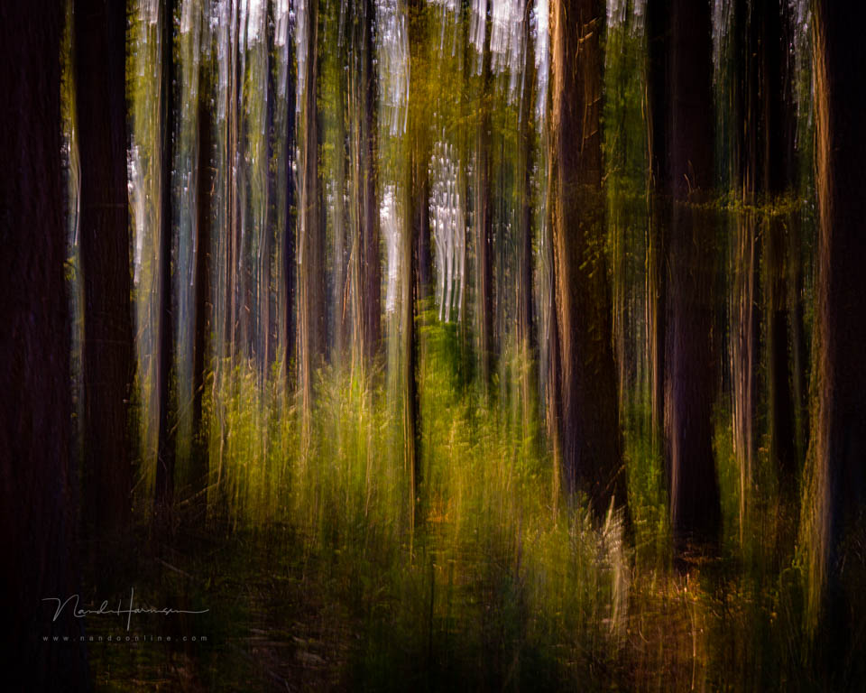 Nando inspiratie creatieffotografie 2