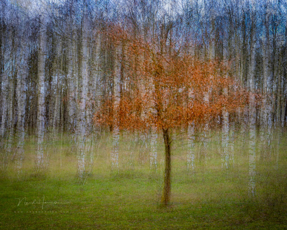 Nando inspiratie creatieffotografie 3