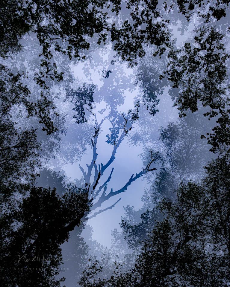 Nando inspiratie creatieffotografie 4