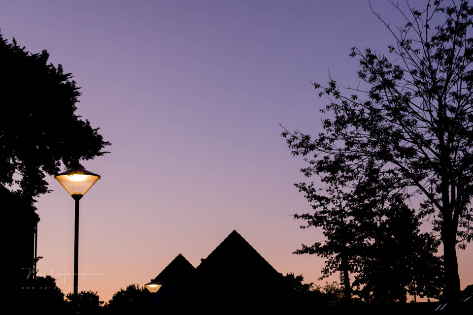 Nando inspiratie elkedagfotografie 3