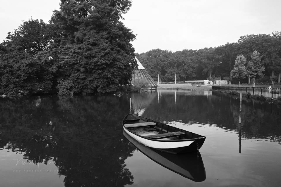 Nando inspiratie elkedagfotografie 5