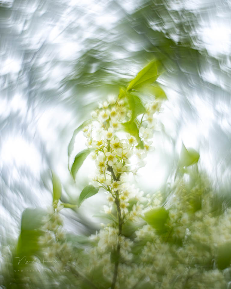 Nando inspiratie lente 12