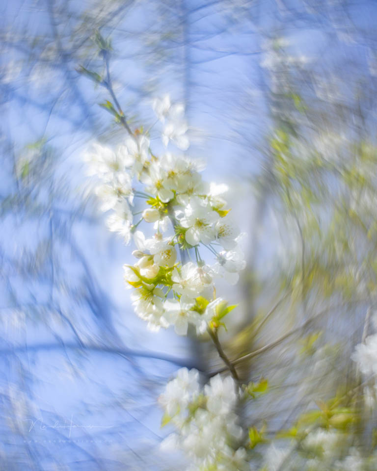 Nando inspiratie lente 13