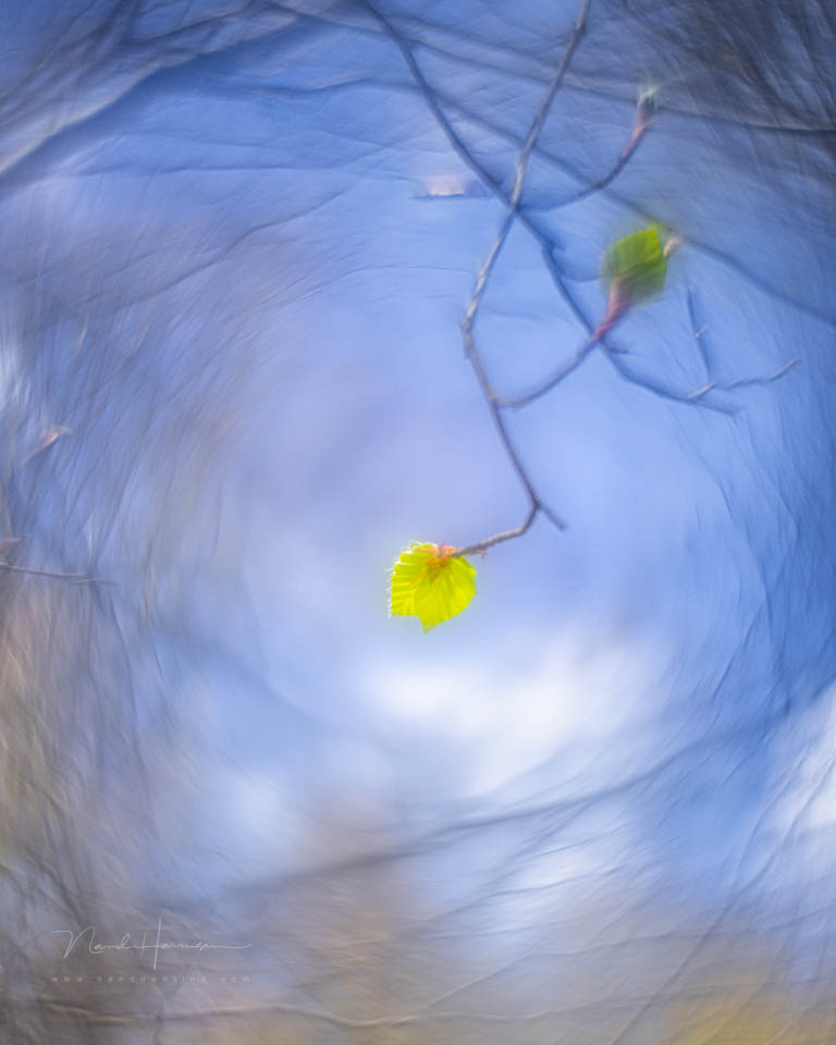 Nando inspiratie lente 14