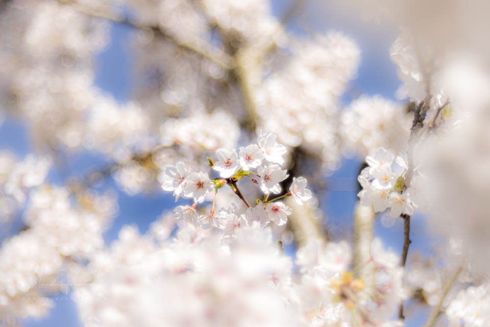 Nando inspiratie lente 3