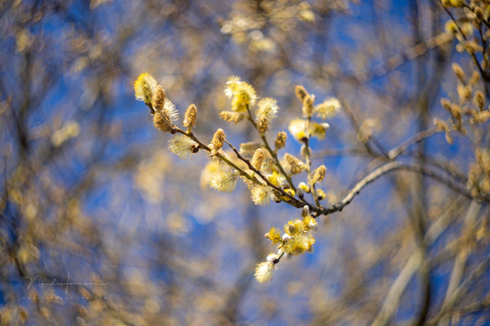 Nando inspiratie lente 8