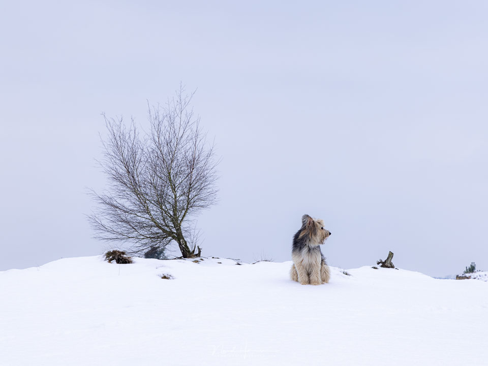 Nando landschap laag standpunt kiezen 4