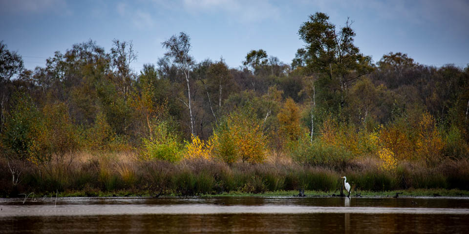 Nando landschap met dieren 4 Nando landschap met dieren 4