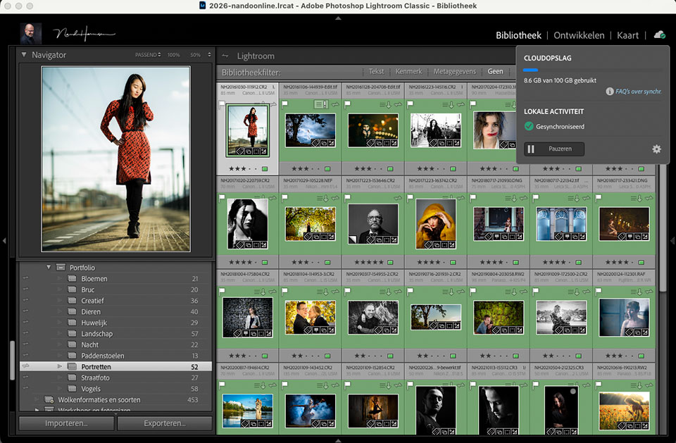 Nando lrc sync portfolio