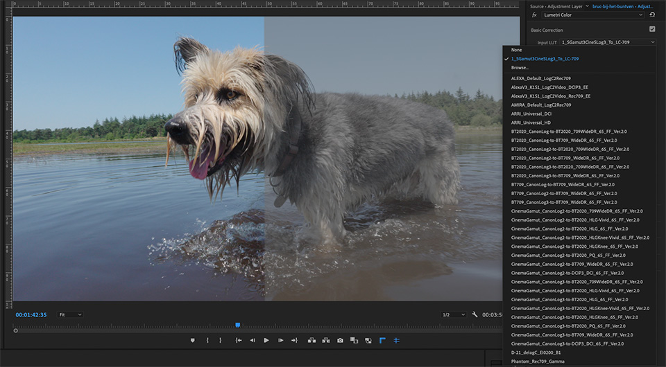 Nando lut PremierePro Nando lut PremierePro