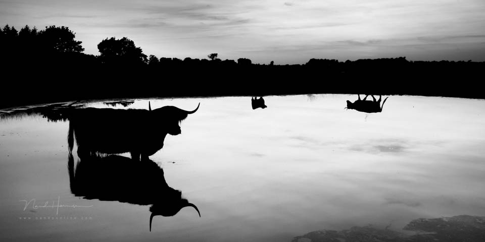 Nando moment expressief