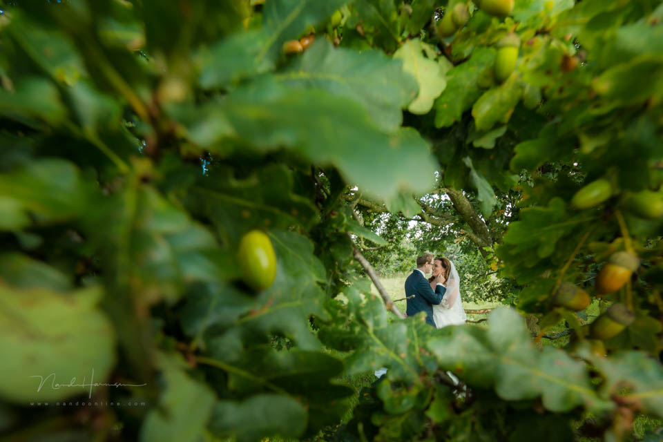 Nando moment registratie expressef