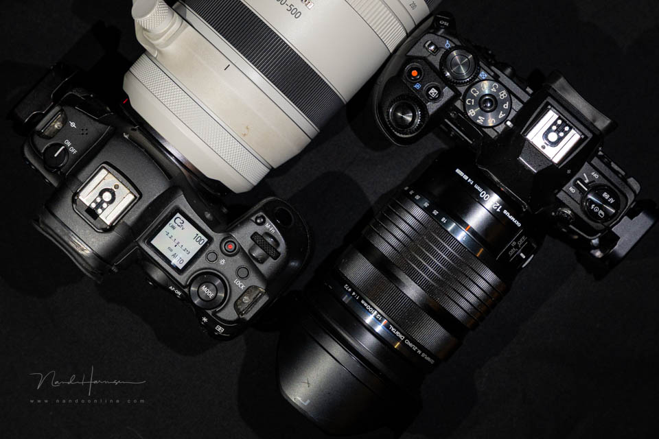 Nando olympus canon Nando olympus canon