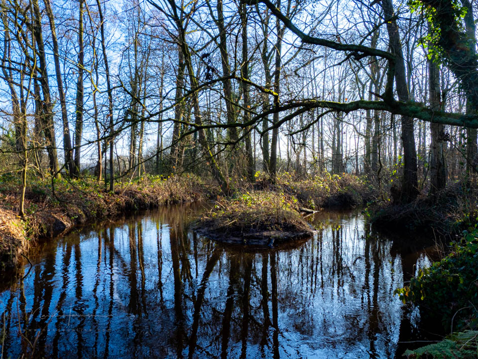 Nando olympus e m1 mk3 6 Nando olympus e m1 mk3 6