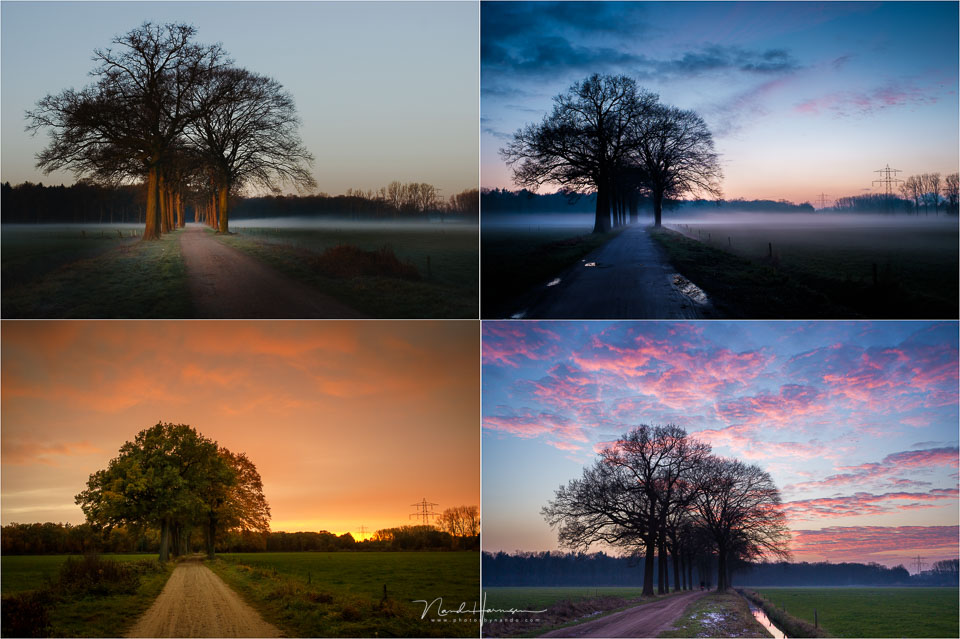 Nando oud landschapsfoto project Nando oud landschapsfoto project