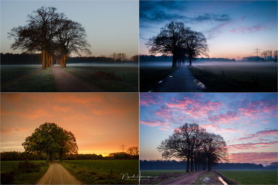 Nando oud landschapsfoto project