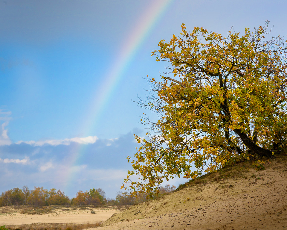 Nando over de schouder regenboog