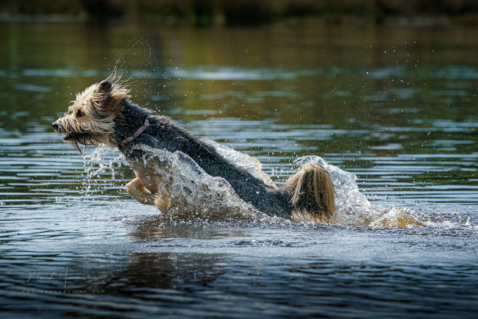 Nando panning voorbeeld 5
