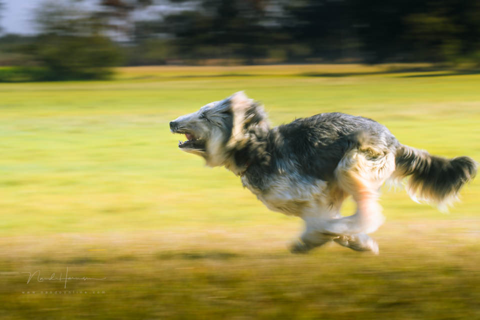Nando panning voorbeeld 1