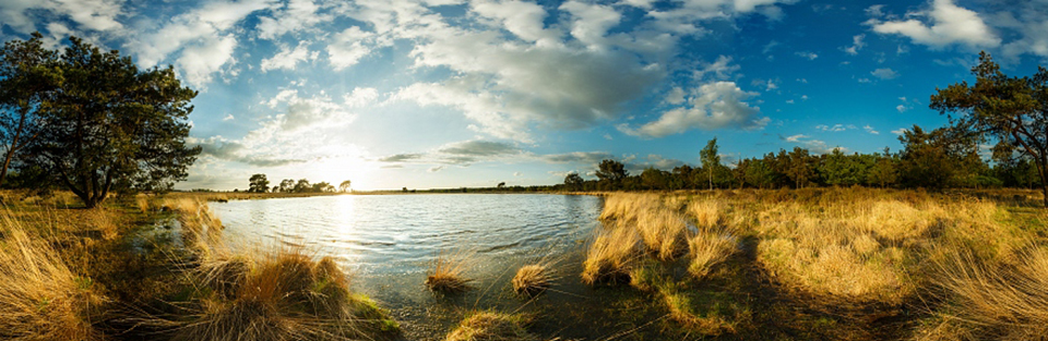 Nando panorama example 4 Nando panorama example 4