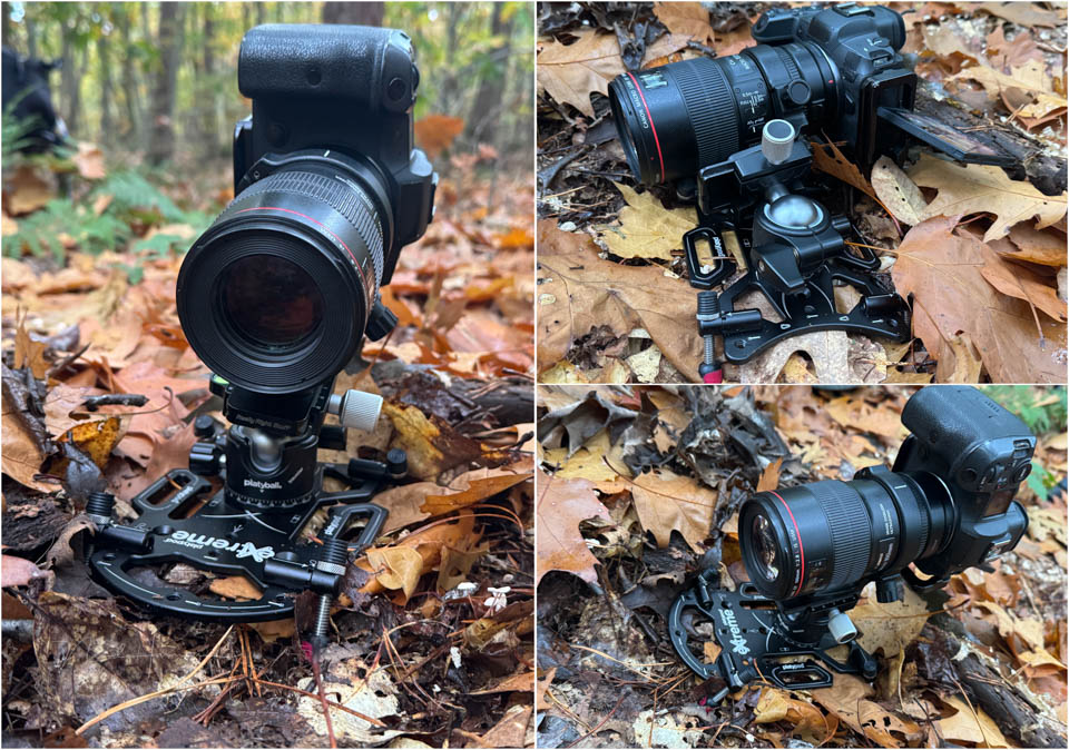 Nando platypod review 4 Nando platypod review 4