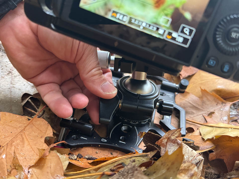 Nando platypod review 5 Nando platypod review 5