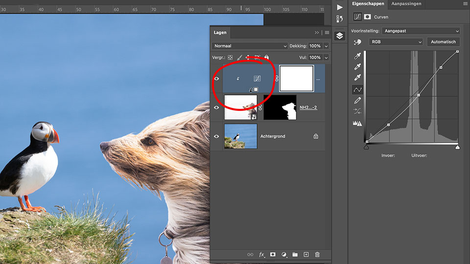 Nando ps masker uitknipmasker Nando ps masker uitknipmasker