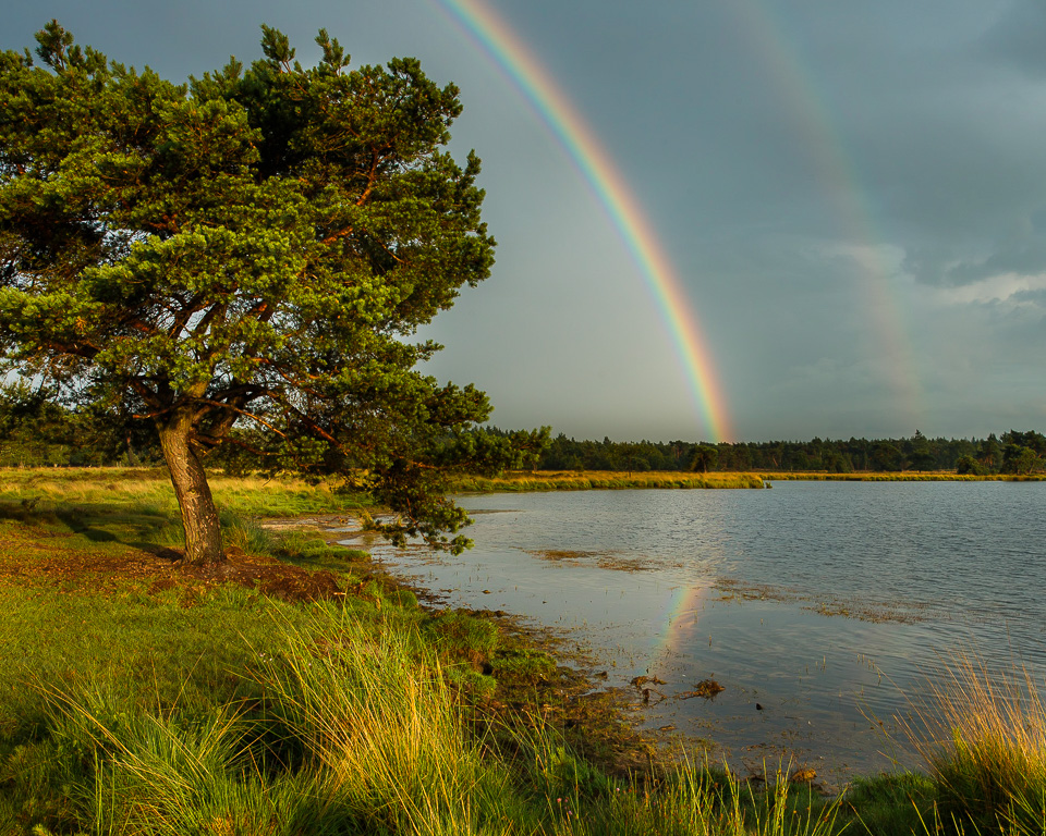 Nando regenboog reflectie