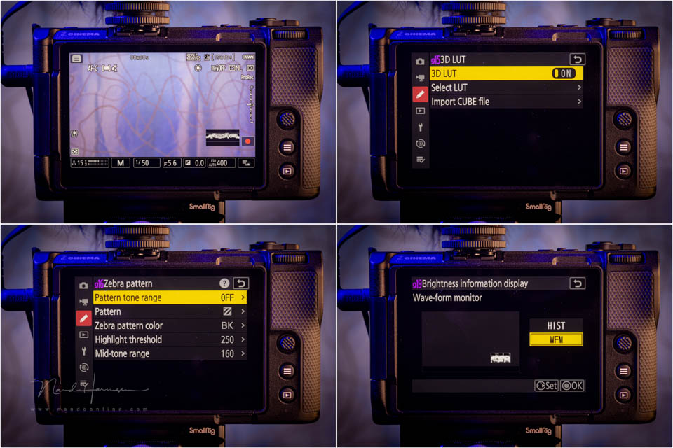 Nando review Nikon ZR 22