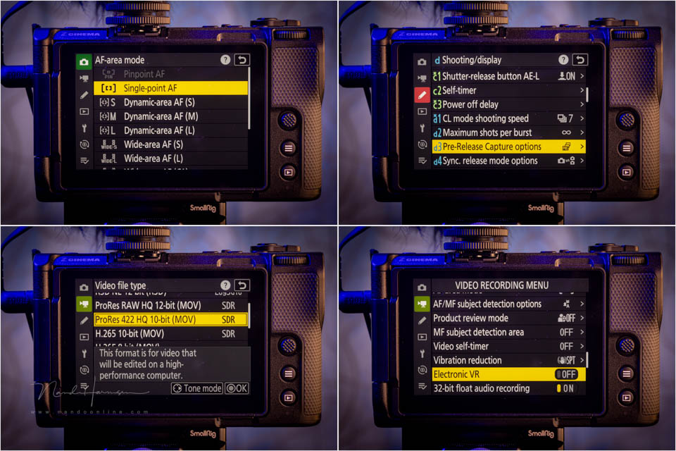 Nando review Nikon ZR 25