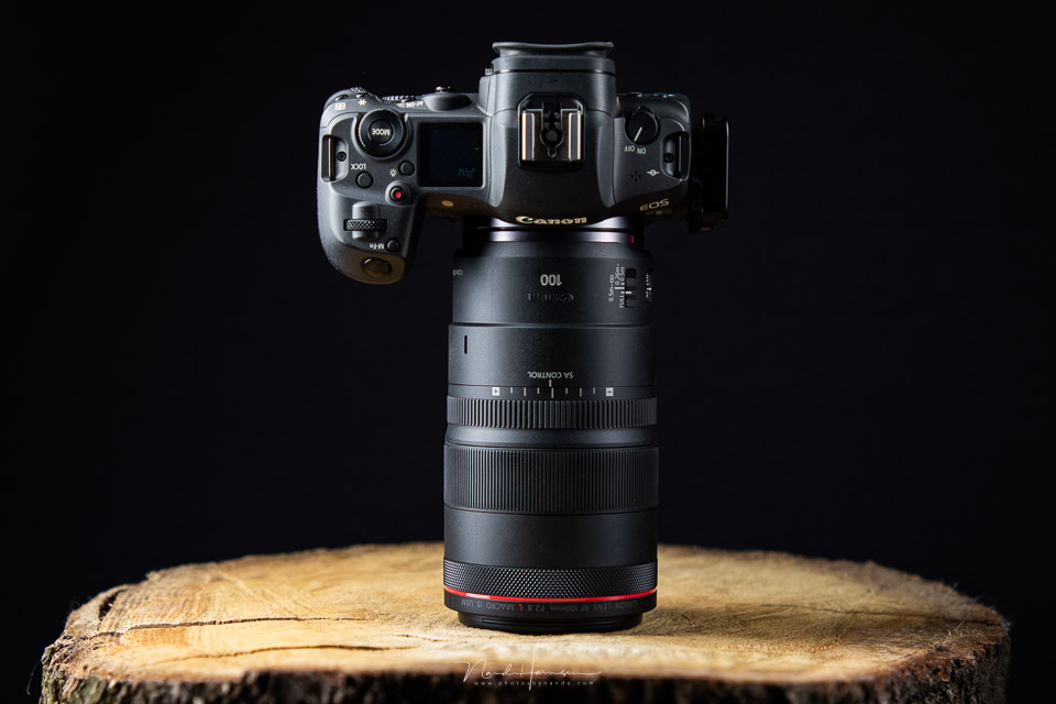 Canon RF 100mm f/2.8L IS USM macro Canon RF 100mm f/2.8L IS USM macro