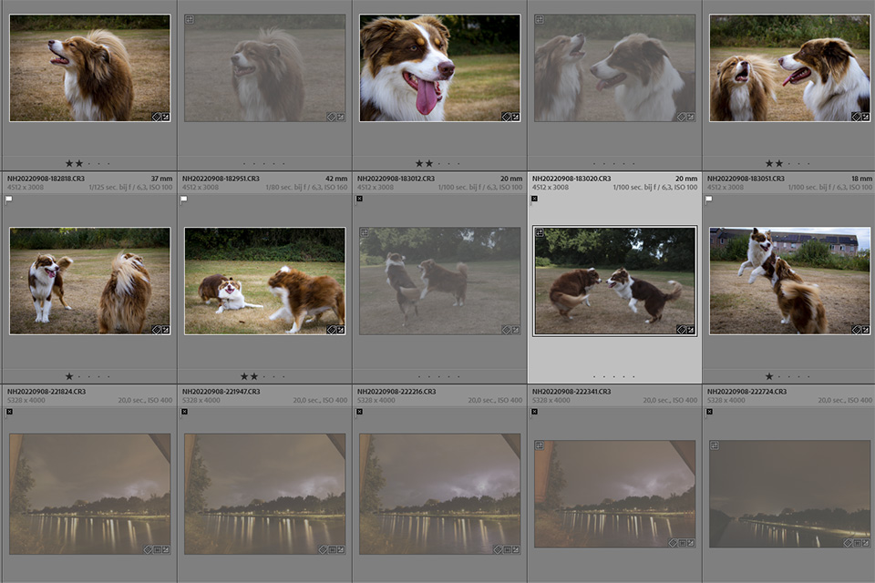 Nando selecteren lightroom Nando selecteren lightroom