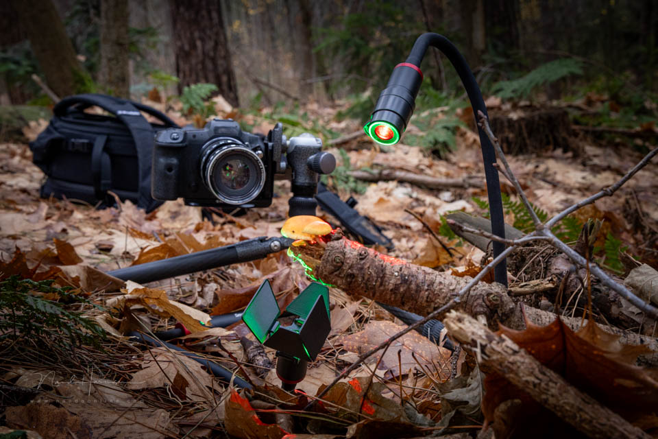 Nando smallrig rm3 review 27