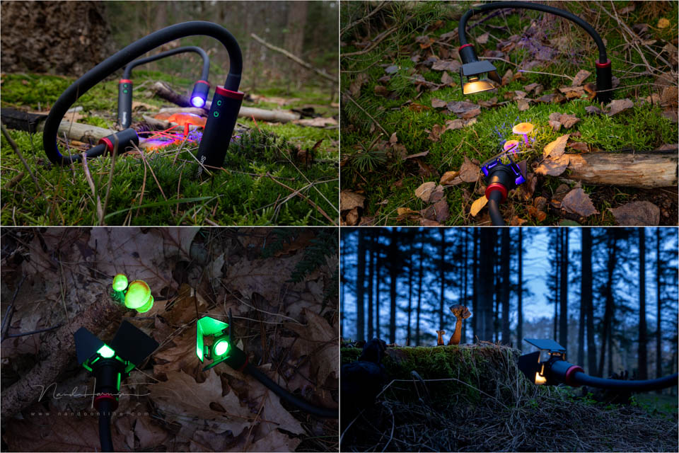 Nando smallrig rm3 review 32