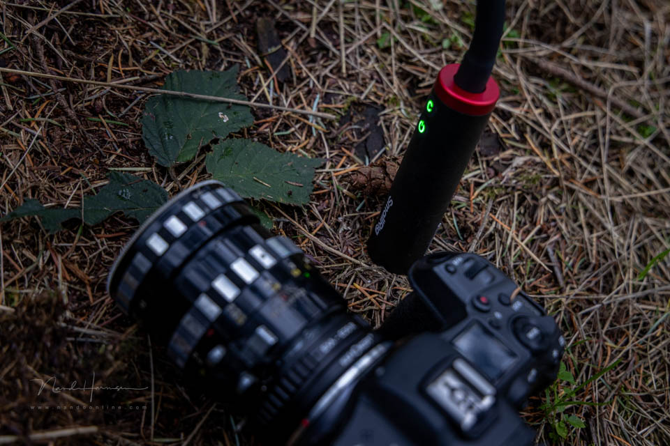 Nando smallrig rm3 review 34