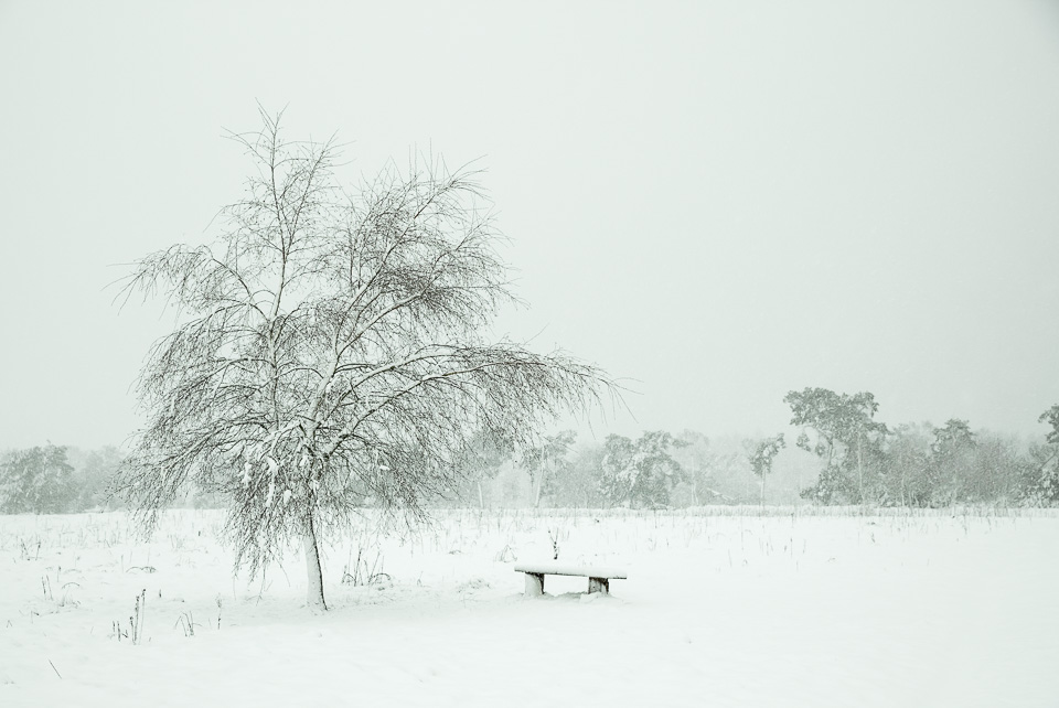 Nando sneeuw tips 01