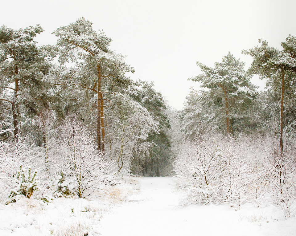 Nando sneeuw tips 07