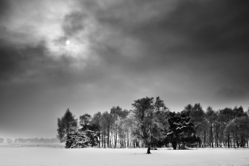 Nando sneeuwlandschap zwartwit Nando sneeuwlandschap zwartwit