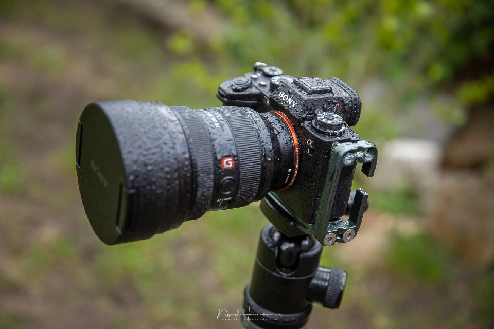 Nando sony A1 wet Nando sony A1 wet