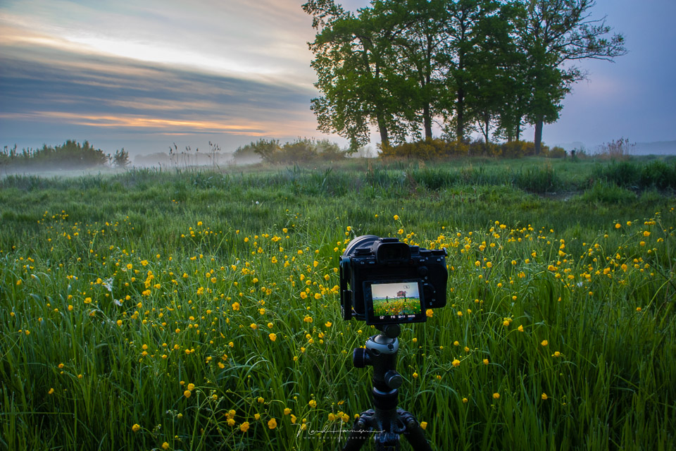 Nando sony a1 camera in het veld