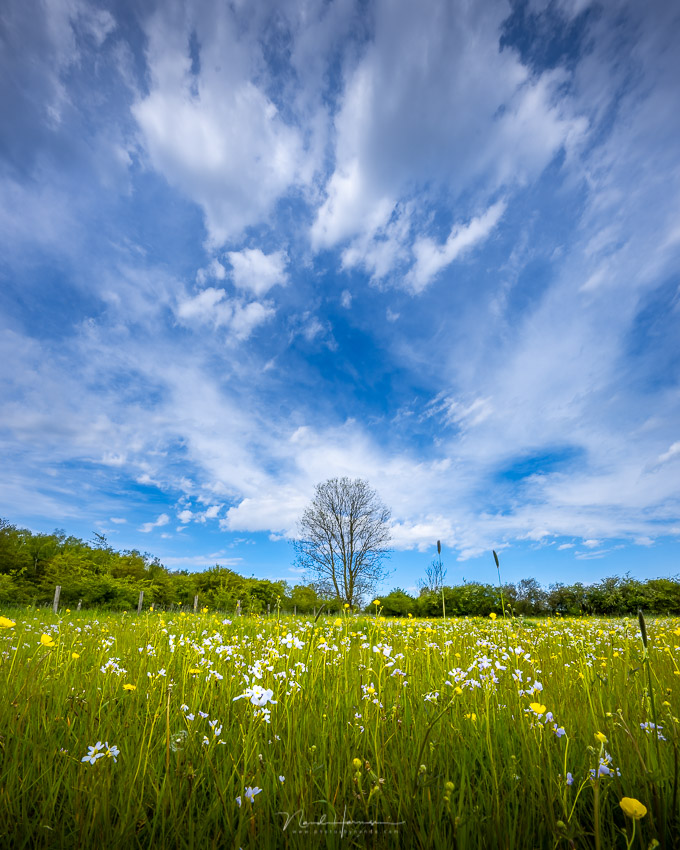 Nando sony a1 wolkenlandschap