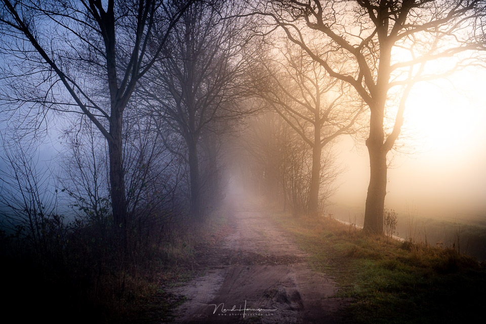 Nando - Sony a7iv landschap Nando - Sony a7iv landschap