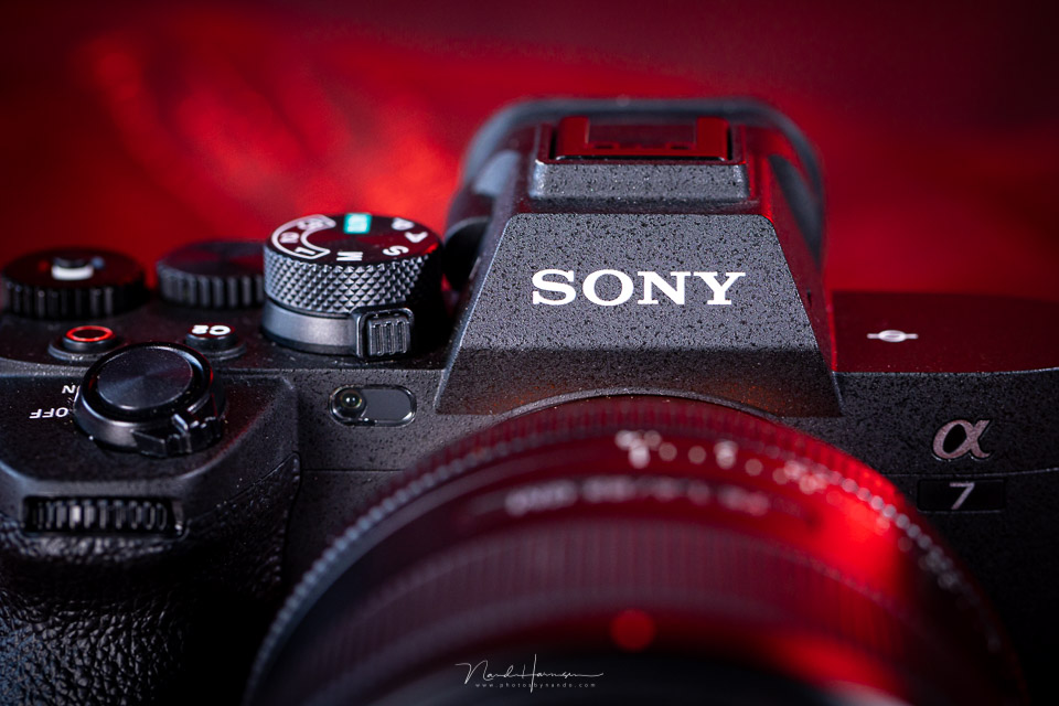 Nando sony a7iv portret